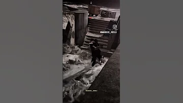 تمنيت لوكان انا وياك 