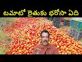 Madanapalli Tomato Market Report || Tomato Farming Amazing Agriculture || Anna KVR