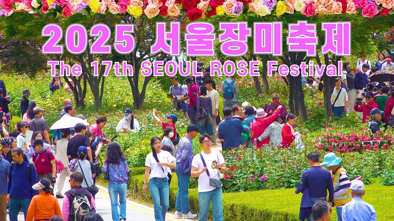 서울장미축제 2025, 역대급 행사존 펼쳐진 중랑장미공원, 5월 24일까지 서울에서 가장 아름다운 축제를 볼 수 있습니다. 서울 여행 워커.