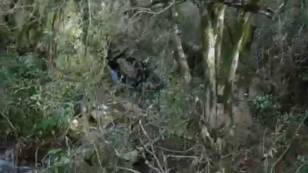 CAÑADON DE LA PLAMA EN LA QUEBRADA DEL CERRO AGUIAR