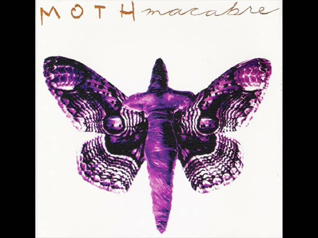 Watch Moth Macabre - Lemuria on YouTube Watch Moth Macabre - Lemuria on YouTube
