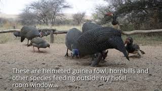 DIY Small Display Cabinet