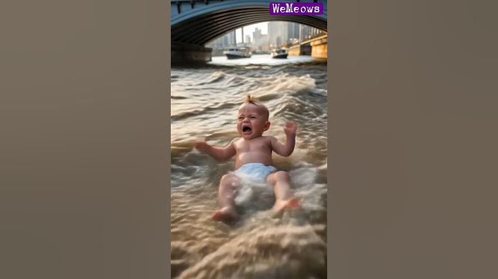 Hero Cat Saves Baby From River! #cat #rescue