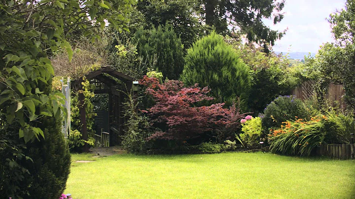 Panasonic GH4 vs Blackmagic Pocket Cinema Camera (short V LOG L Test)