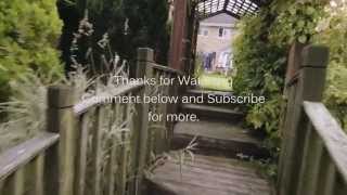 Panasonic Gh4 Vs Blackmagic Pocket Cinema Camera Short V Log L Test