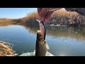 В поисках Жереха и Щуки 🎣Мой Корабль пошел ко дну⛴️ Я был реально в шоке 😱