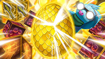 I Took Golden Egg for the First Time in Set 8