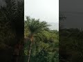 Vasai fourth in mumbai #video #shorts