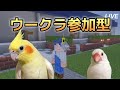 【ウーマイクラ】5月16日(土)21時に開催する参加型マイクラ配信の準備【統合版】