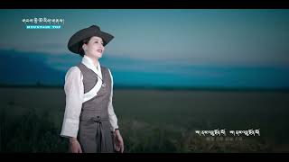 Tibetan Song ནསའབསནམའགཏམརད丨ལནམཁན གཡསངཛམལ