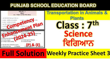 pseb competency based paper class 7th science worksheet 3 test 2024