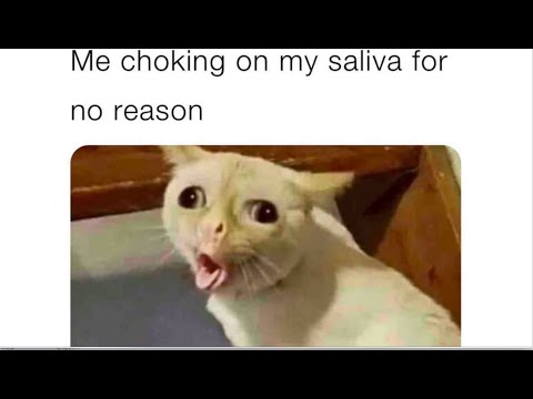 Daily Crispy Memes 192