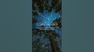 فأنجيناه ومن معه في الفلك المشحون / وليد الشمسان  / سورة الشعراء