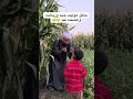 حالق موليت جيم ورياضه والصحه فيا 😂😂 #دينمو_الصعيد #الحاج_صديق
