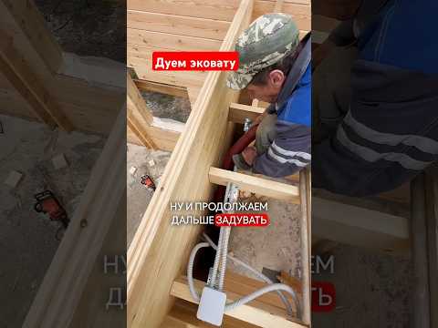почему эковата не даёт усадку?#домподключ #строимдом #двойнойбрус #строительство #эковата #baumhaus