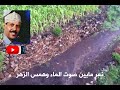 والصبح محلاه يطلع ايوب طارش