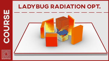 Ladybug Radiation Optimization