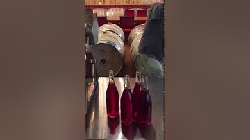 Bottling 2015 JOLO Pink