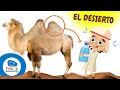Explorando los Desiertos