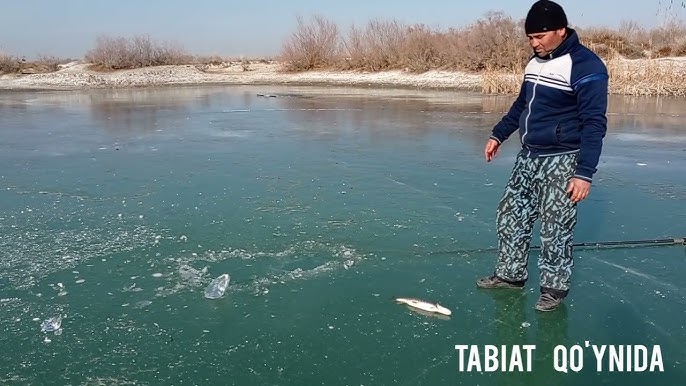 Xususiy prostata massaj porno