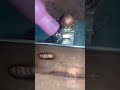 Secret Techniques for Welding Thin Galvanized Metal