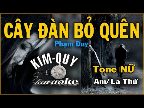 CÂY ĐÀN BỎ QUÊN - KARAOKE - Tone NỮ ( Am/La Thứ )