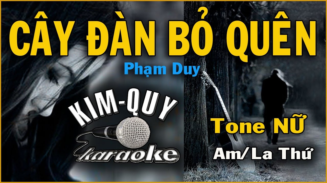 CÂY ĐÀN BỎ QUÊN - KARAOKE - Tone NỮ ( Am/La Thứ )