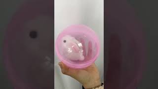 Family Should Buy For Play