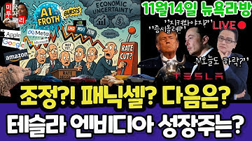 미국주식/AI조정? 패닉셀? 100일? 다음은?/테슬라 엔비디아 구글 애플 아마존 메타 마이크로소프트 팔란티어 아이온큐 리게티 QBTS 브로드컴 오라클 코어위브 UNH LLY 노보