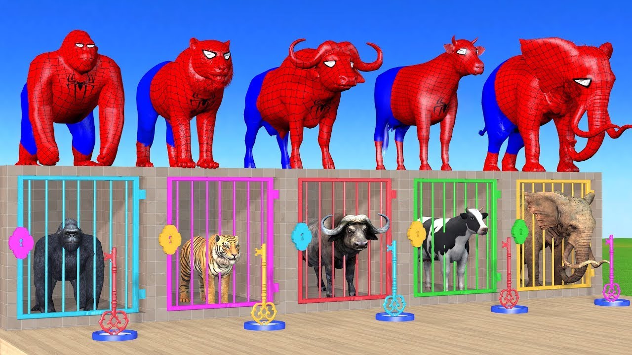 Long Slide Game With Cow Elephant Gorilla Hippopotamus Tiger 3d Animal Game Funny 3d Animals