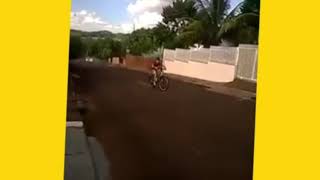 Teste de shake do Pelúcia