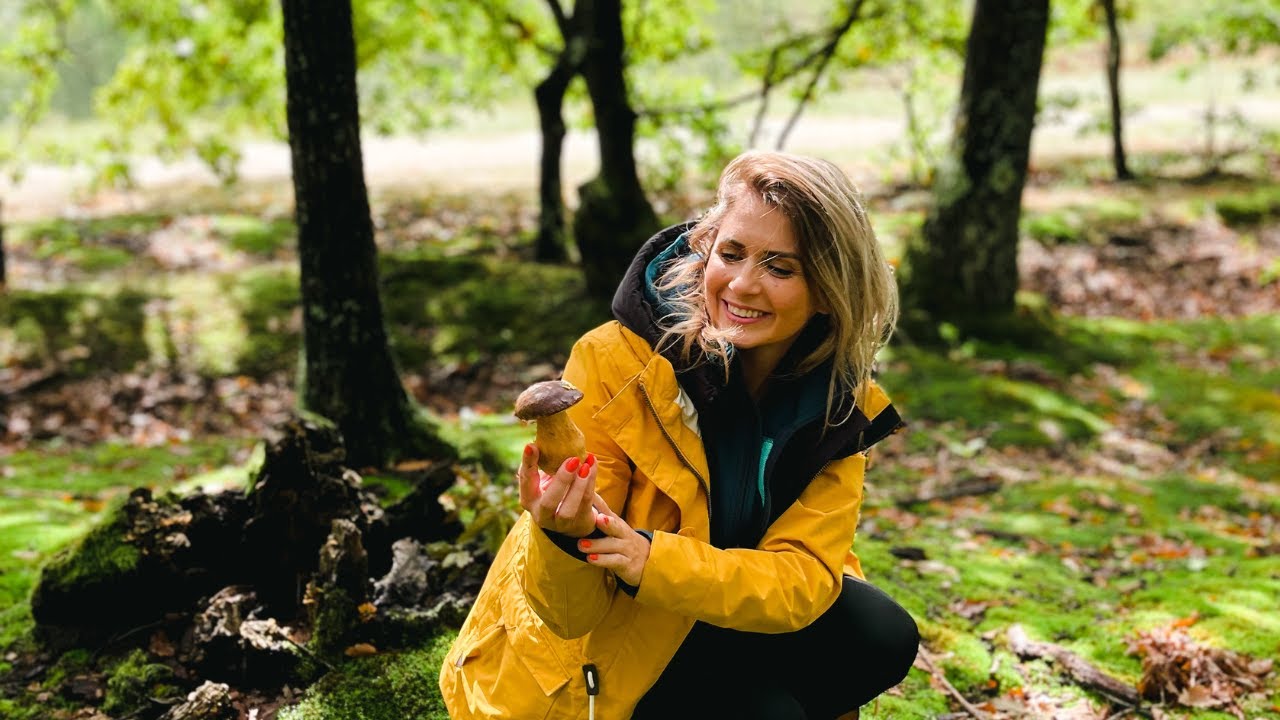 MERGEM DUPA CIUPERCI SI FACEM ZACUSCA DE HRIBI