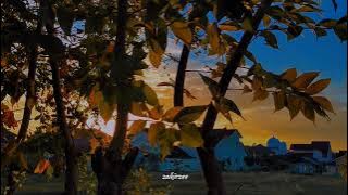 Cinematic 30 detik || Semangat Pagi 🌄🌄