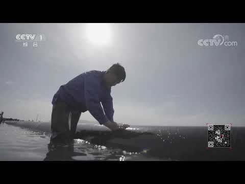 《瞬间中国》 20201127 董绍森| CCTV