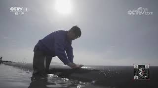 《瞬间中国》 20201127 董绍森| CCTV