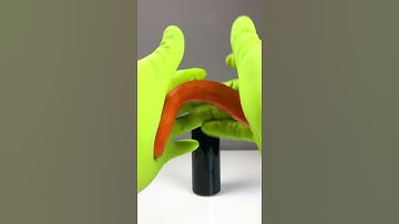 How do carrots become elastic? Experiment No.203 | Relaxing Tricks | #Shorts #Experiment  #testing