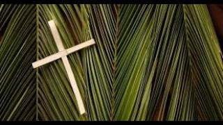 Palm Sunday Of The Passion Of The Lord