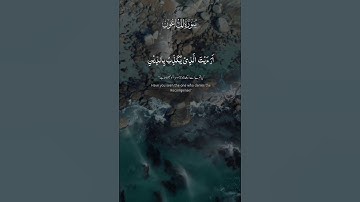 سورة الماعون #القرآن_الكريم #اكسبلور #حالات_واتس