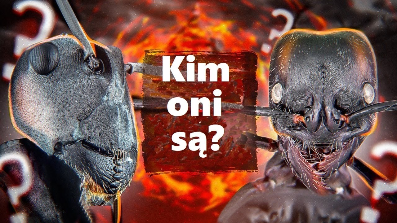 Mrówki - Co O Nich Wiemy. Niesamowite Życie Najbardziej Zorganizowanych...