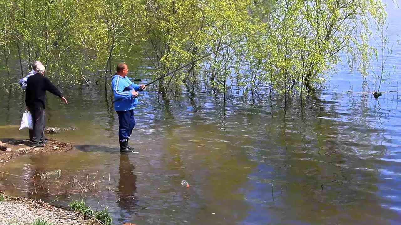 Весенная рыбалка на Волге, мозговой штурм. Fishing videos on the Volga