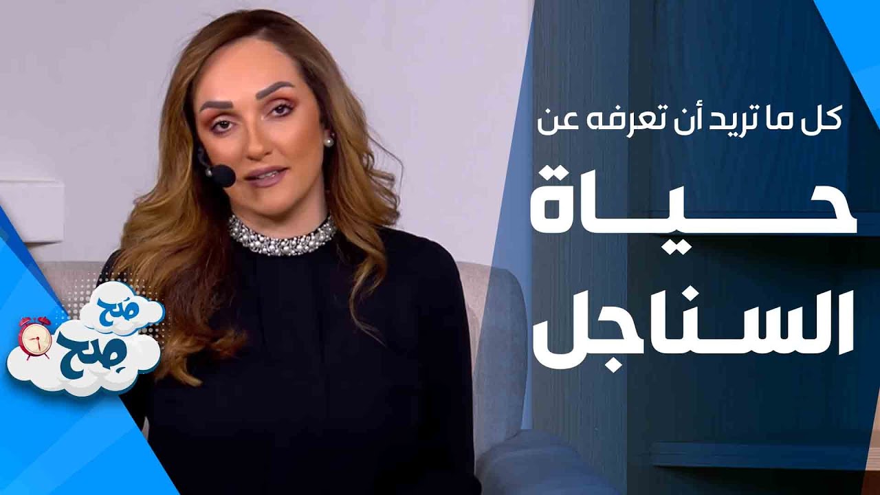 Все, что вы хотите знать о холостяцкой жизни - Сахих Сахих