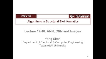 From Bioinformatics to AI: 18.1. Convolutional Neural Networks (CNNs): WHY?