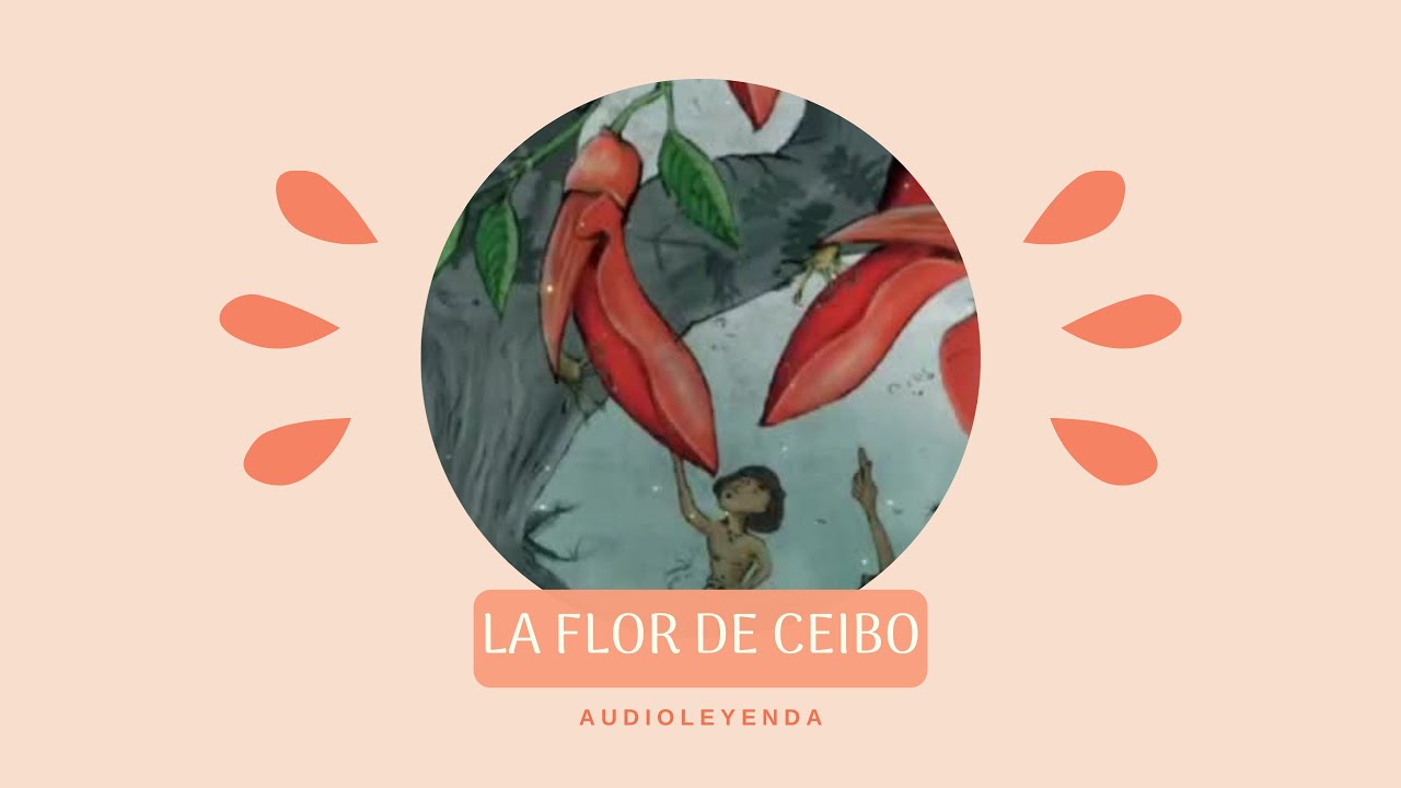 La flor de ceibo | Audioleyenda
