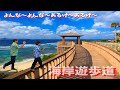 美ら海さんぽ~かわいいゲスト登場~