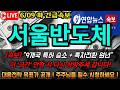 [서울반도체 주가전망] 미국 특허 9개국 승소 + 흑자전환 원년, 지금 이 자리 절대 놓치면 안됩니다