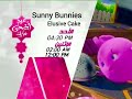 مسلسل كارتون Sunny Bunnies Elusive Cake الأحد الرابعة ونصف عصرا على نايل كوميدي عيد اضحى 2021