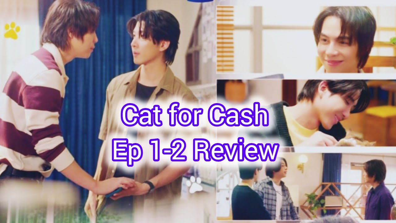 I watched the first 2 episodesof BL drama CAT FOR CASH| Is It Worth Watching? REVIEW