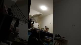 Download Lagu 13 Mei 2024 MP3