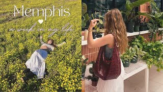 a week in Tennessee | cafes, picnicking in a flower field, downtown, Beale street,