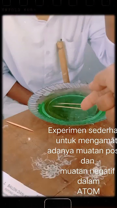 Kimia Inklusi. Mereka memiliki kesulitan fungsional perilaku/perhatian/interaksi sosial,